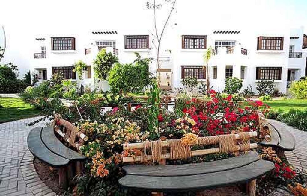 Sharm Holidays Real Estate Sharm El-Sheikh Exterior foto